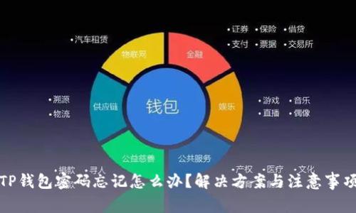 TP钱包密码忘记怎么办?解决方案与注意事项