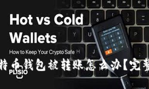 : 比特币钱包被转账怎么办?完整指南