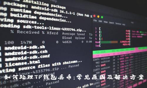 如何处理TP钱包丢币：常见原因及解决方案