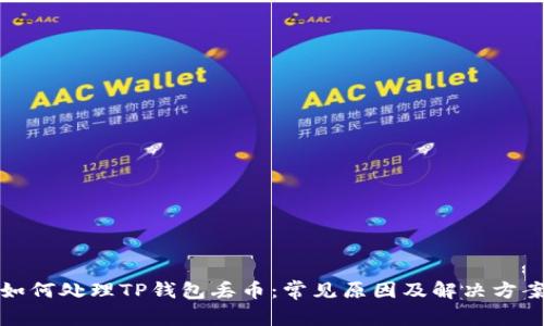 如何处理TP钱包丢币：常见原因及解决方案