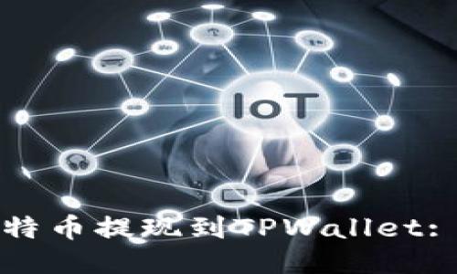 如何将比特币提现到TPWallet: 详细指南