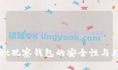 TPWallet观察钱包的安全性与风险评估