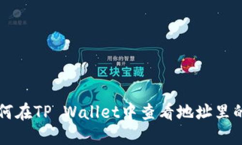 如何在TP Wallet中查看地址里的币