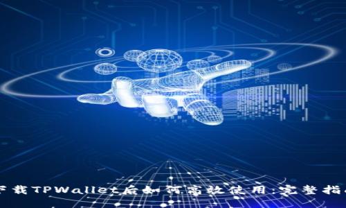下载TPWallet后如何高效使用：完整指南