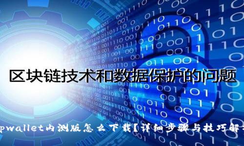 tpwallet内测版怎么下载？详细步骤与技巧解析