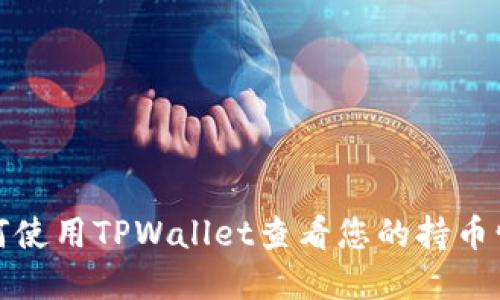 如何使用TPWallet查看您的持币情况