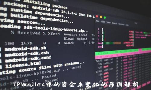  
TPWallet中的资金未变化的原因解析