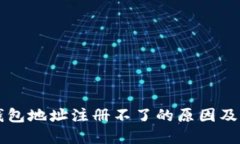 虚拟币钱包地址注册不了