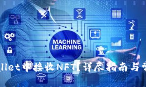 如何在TPWallet中接收NFT？详尽指南与常见问题解答