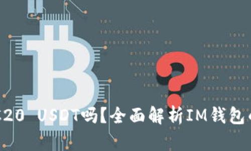 IM钱包支持TRC20 USDT吗？全面解析IM钱包的功能与安全性
