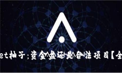 tpwallet柚子：资金盘还是合法项目？全面分析