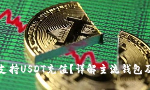 什么钱包支持USDT充值？详解主流钱包及其优缺点
