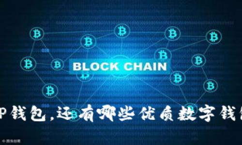  除了TP钱包，还有哪些优质数字钱包选择？