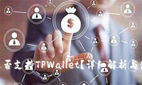 BSC链是否支持TPWallet？详细解析与使用指南