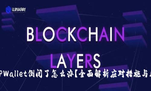 : 如果TPWallet倒闭了怎么办？全面解析应对措施与风险管理