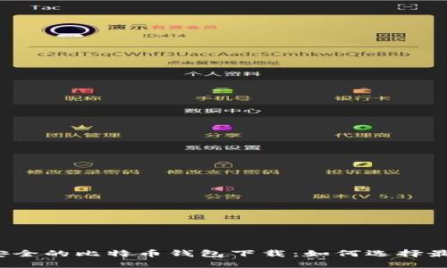 比较安全的比特币钱包下载：如何选择最优选？