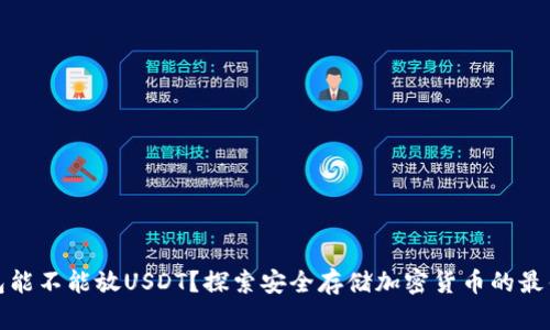冷钱包能不能放USDT？探索安全存储加密货币的最佳选择