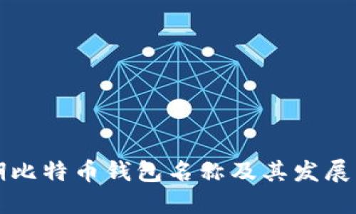 早期比特币钱包名称及其发展历程