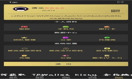 如何获取 TPWallet Kishu 合约地址？