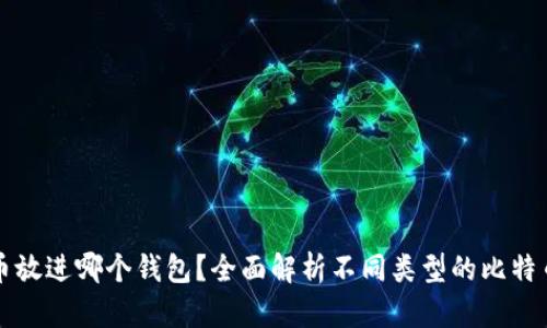 比特币放进哪个钱包？全面解析不同类型的比特币钱包