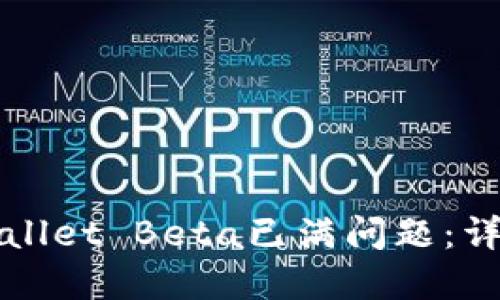 如何解决TPWallet Beta已满问题：详解及解决方案