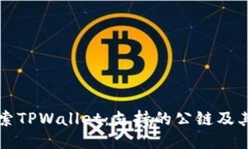 : 探索TPWallet：支持的公链及其特色
