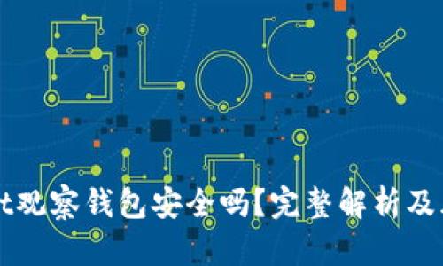 TPWallet观察钱包安全吗？完整解析及风险分析