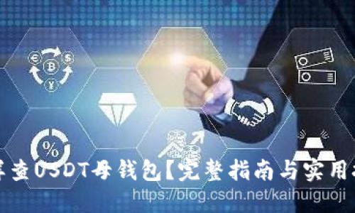 怎样查USDT母钱包？完整指南与实用技巧