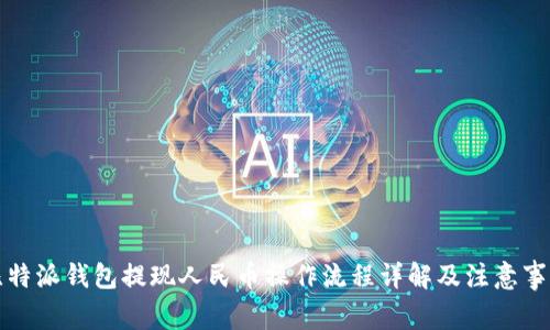 比特派钱包提现人民币操作流程详解及注意事项