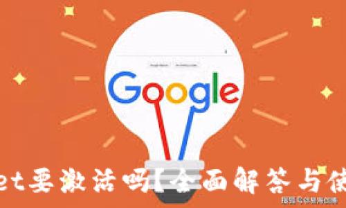  

tpwallet要激活吗？全面解答与使用指南